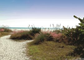 Siesta_Key___Beach_Pathway_Sarasota County