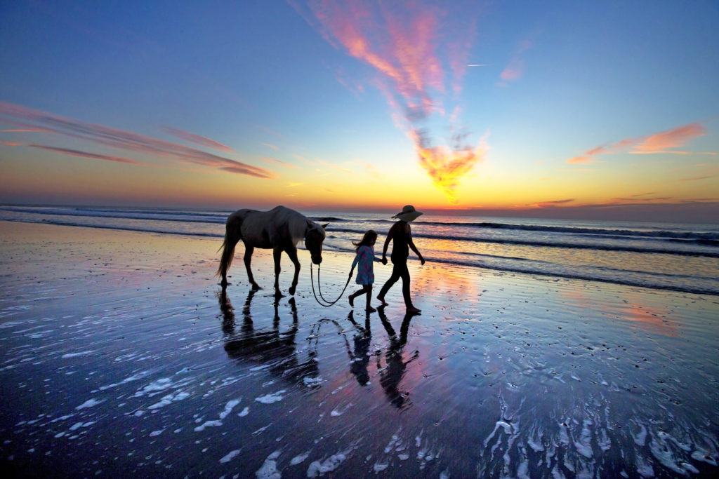 Visit Florida - Bildarchiv