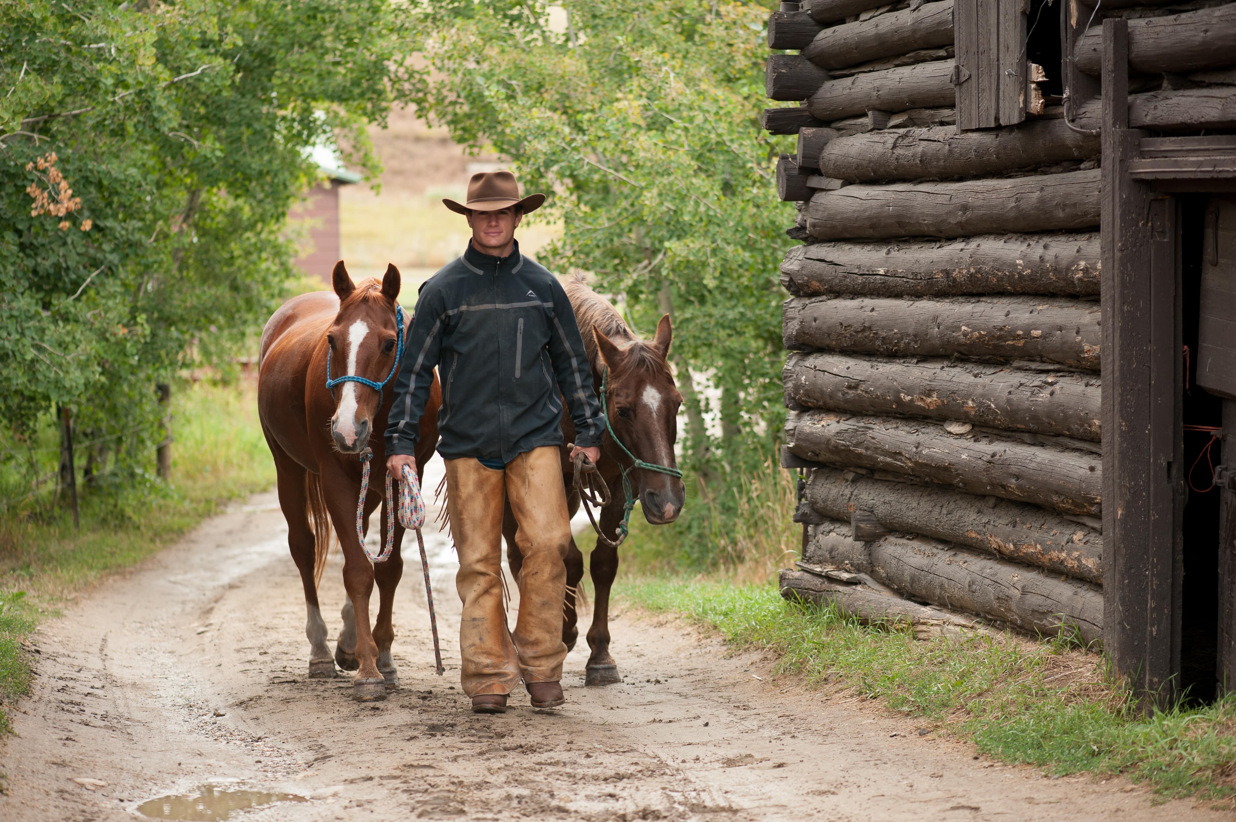 The Great American West Lieb Management