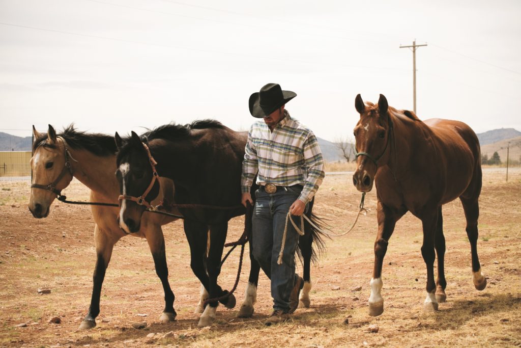 Travel Texas - Bildarchiv