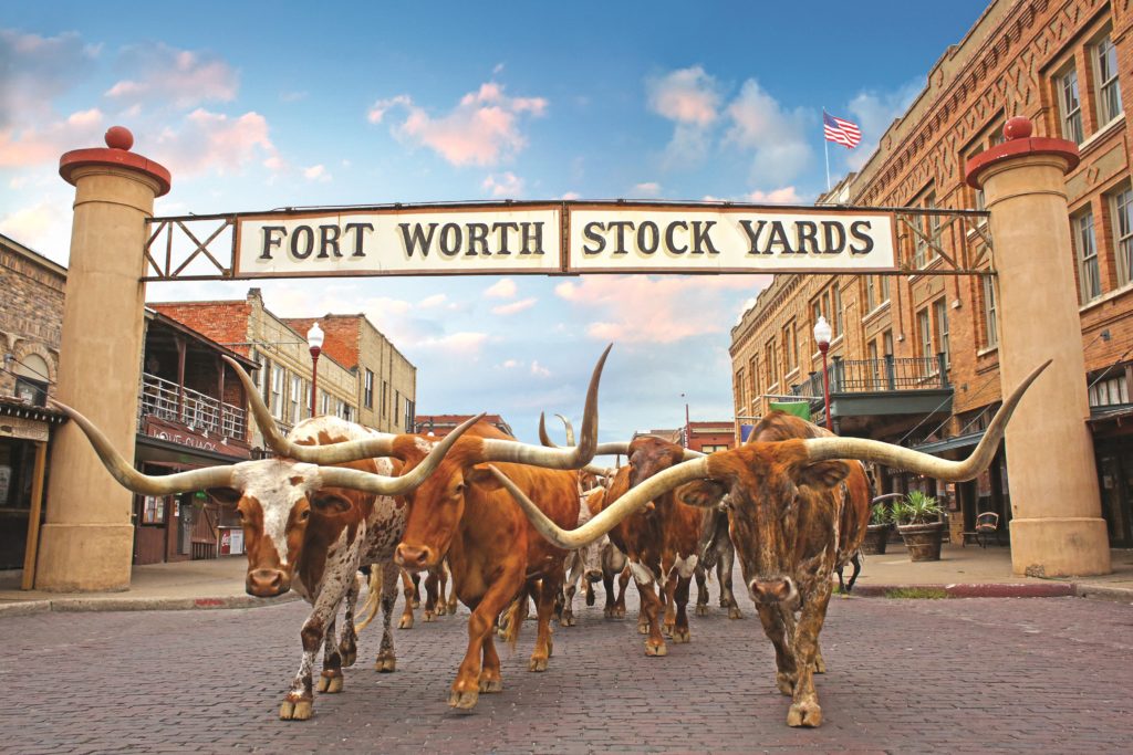 Travel Texas - Bildarchiv