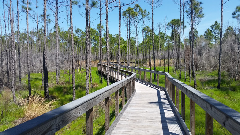 Panama City Beach - Bildarchiv