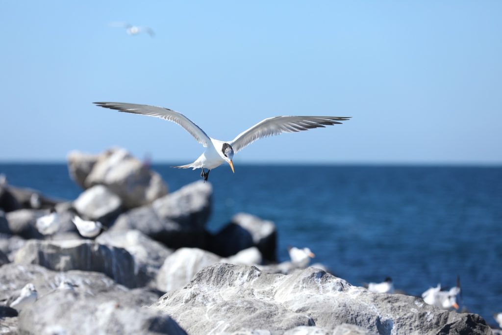 Panama City Beach - Bildarchiv