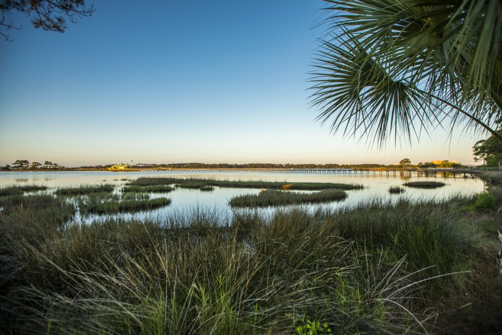 Panama City Beach - Bildarchiv
