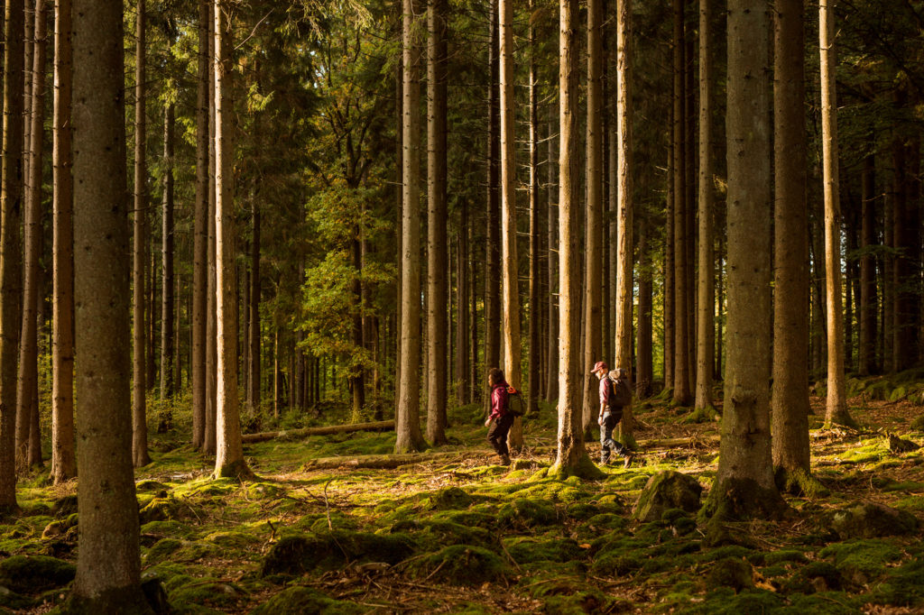 Tourism in Skåne - Bildarchiv