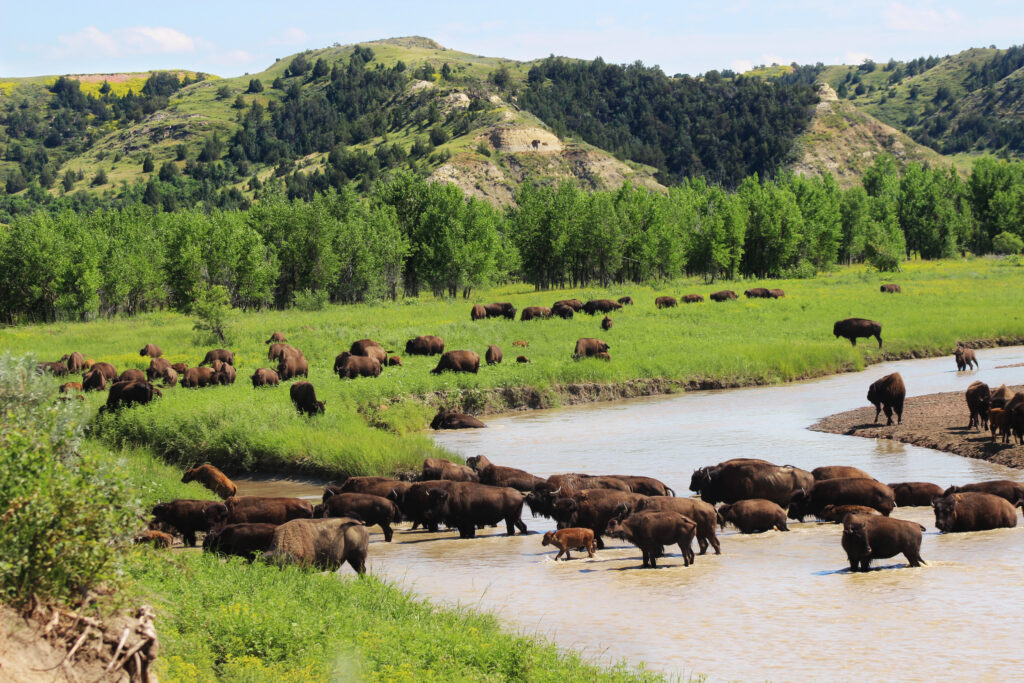 The Great American West - Bildarchiv