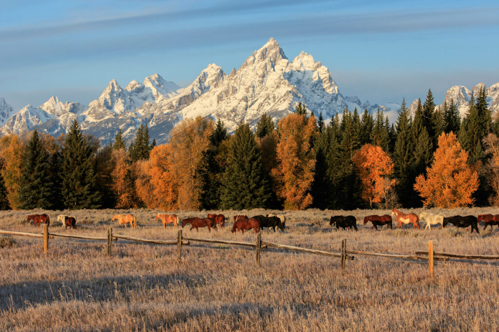 The Great American West - Bildarchiv